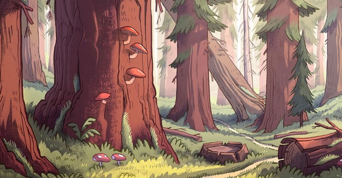 Forest with trees and mushrooms