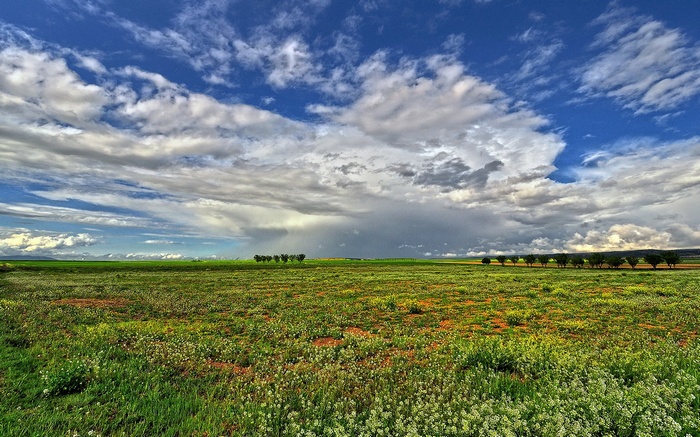 A vast green field under a dramatic cloudy sky