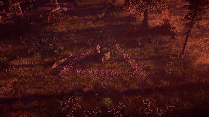 Aloy from Horizon Zero Dawn in a flower circle