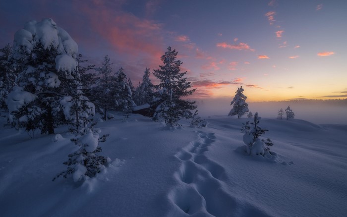 Snowy forest landscape at sunset with pink clouds