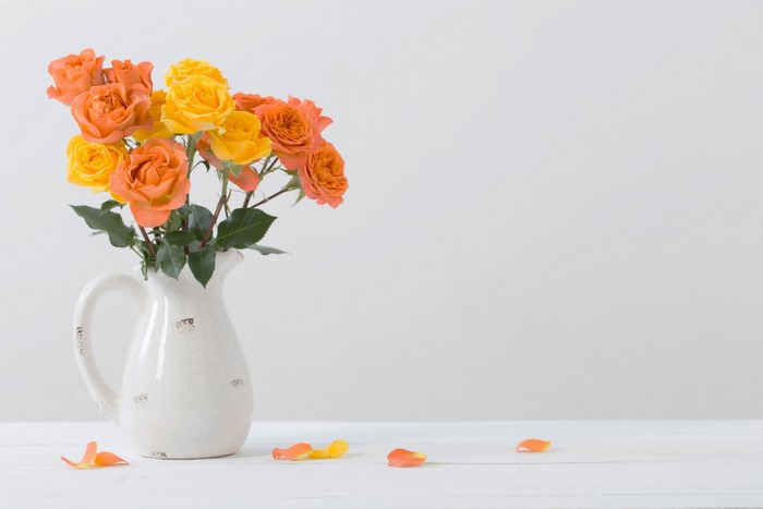 Orange and yellow roses in a white pitcher vase