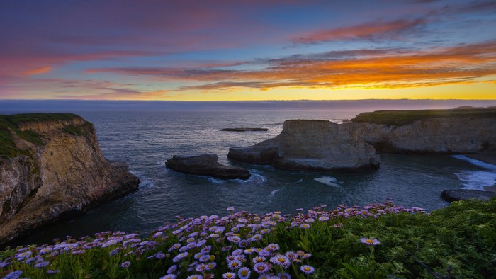Shark Fin Cove California Sunset with Wildflowers