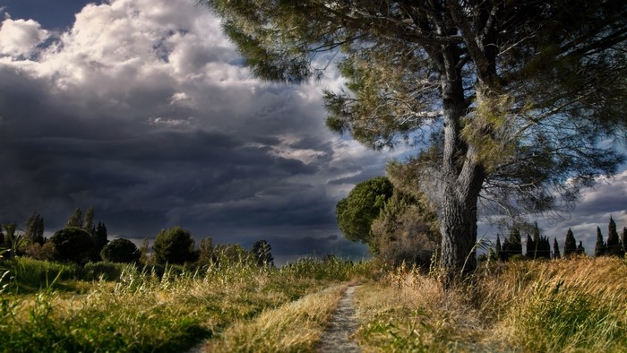 Dirt path through a field with storm clouds