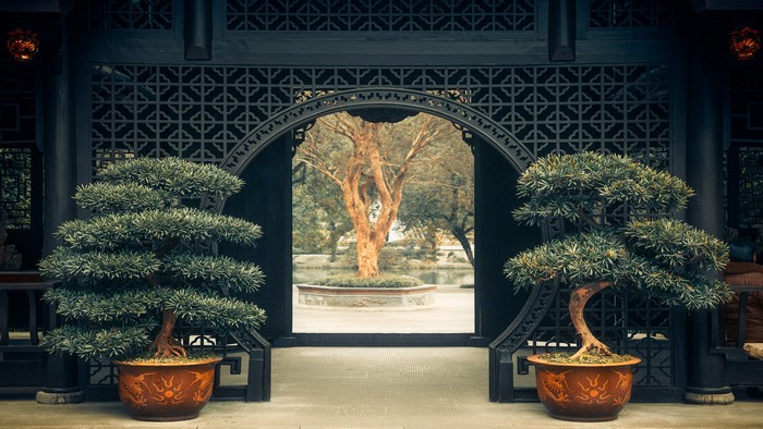 Asian architecture with bonsai trees and a garden view