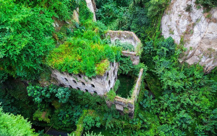 Abandoned stone buildings overgrown with lush green vegetation