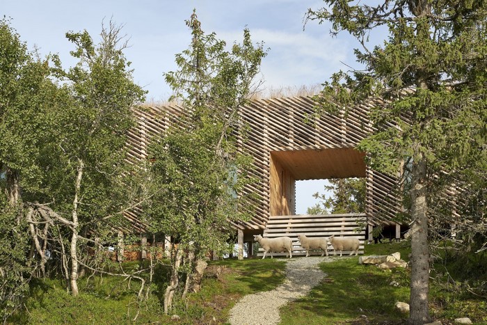 Modern wooden house with sheep in a forest