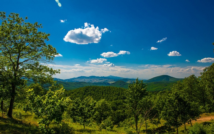 Green rolling hills under a blue sky with clouds
