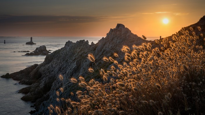 Sunset over rocky coast with lighthouse and sea plants