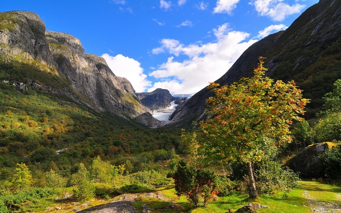 Valley with glacier and trees