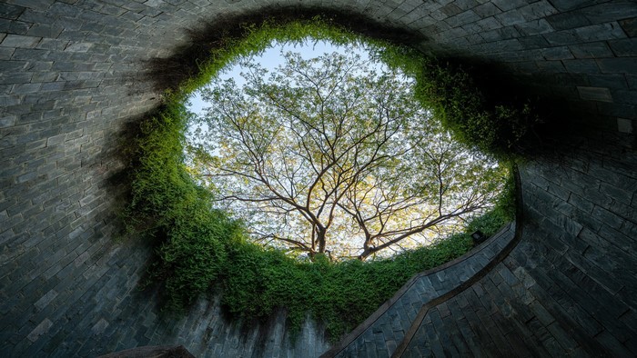 Spiral staircase with tree and sky