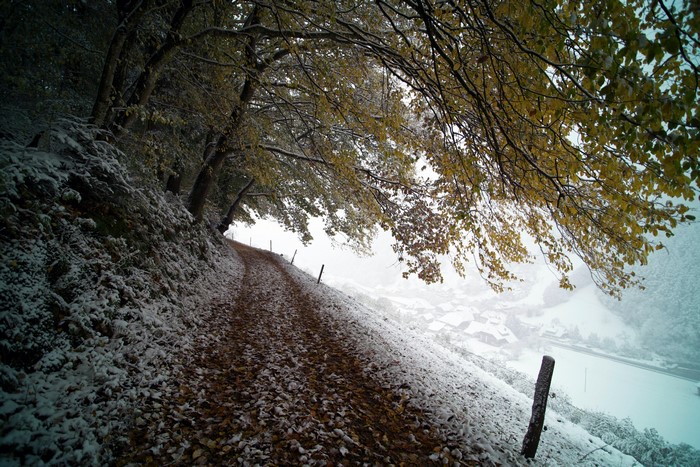 Snowy walkway in the Alps with autumn leaves