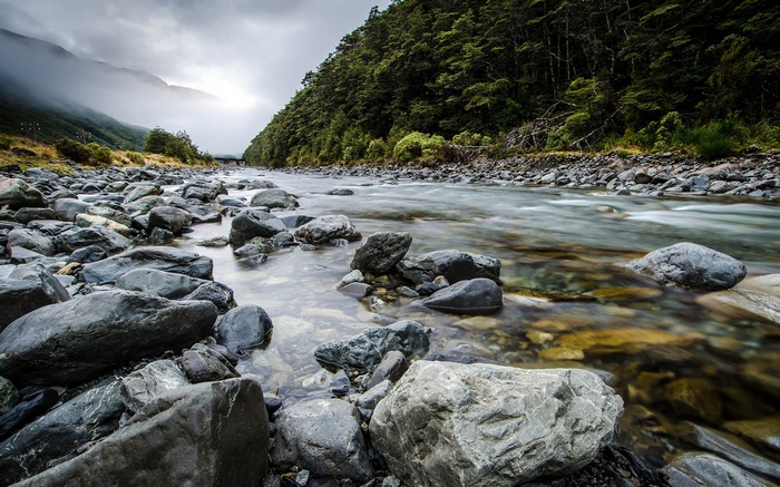 River flowing through a rocky landscape with a forest