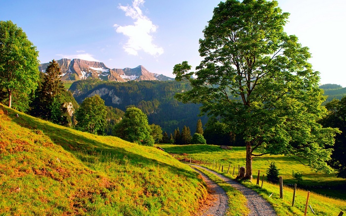 Mountain landscape with a dirt path and trees