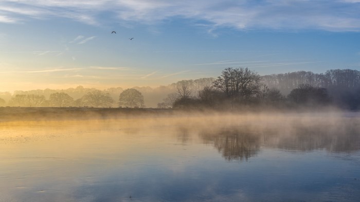 Misty river landscape at sunrise with trees and birds