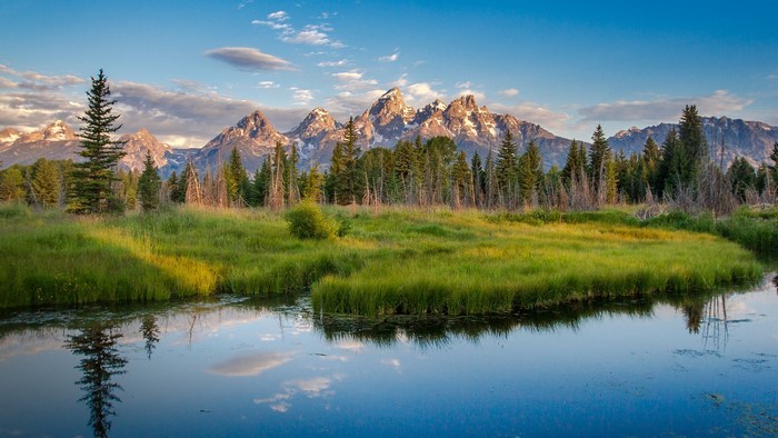 Grand Teton National Park, Wyoming, USA