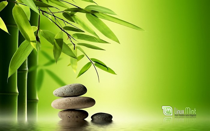 Linux Mint logo with bamboo and stones
