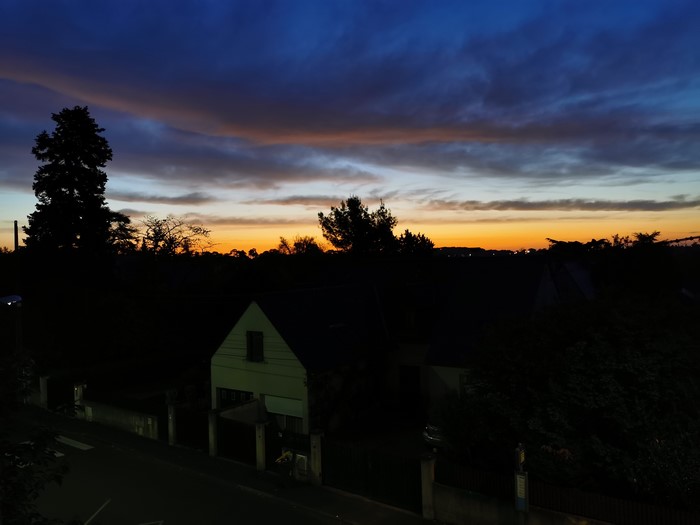 Sunset over a suburban landscape with silhouetted trees