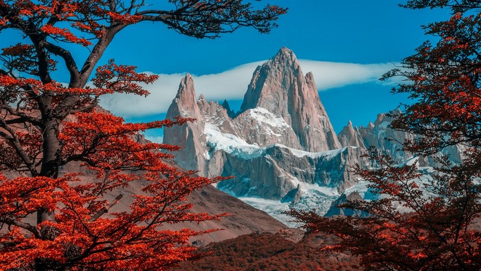 Monte Fitz Roy Snowy Mountain Landscape in Patagonia