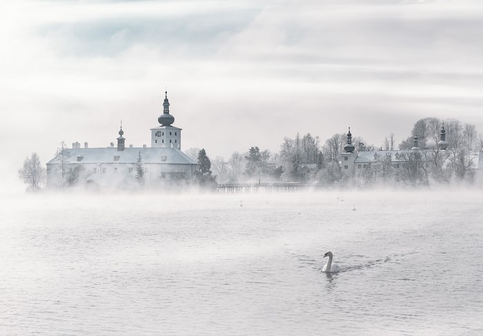 Castle on a foggy lake with a swan
