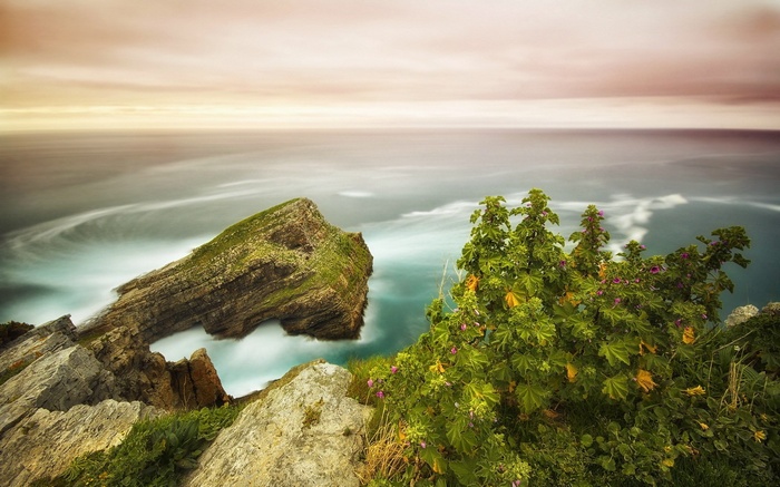 Rocky coast with green vegetation and ocean