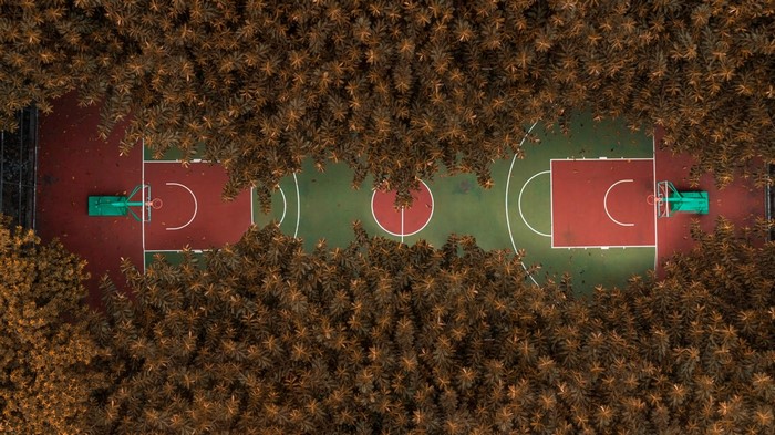 Aerial view of a basketball court surrounded by trees