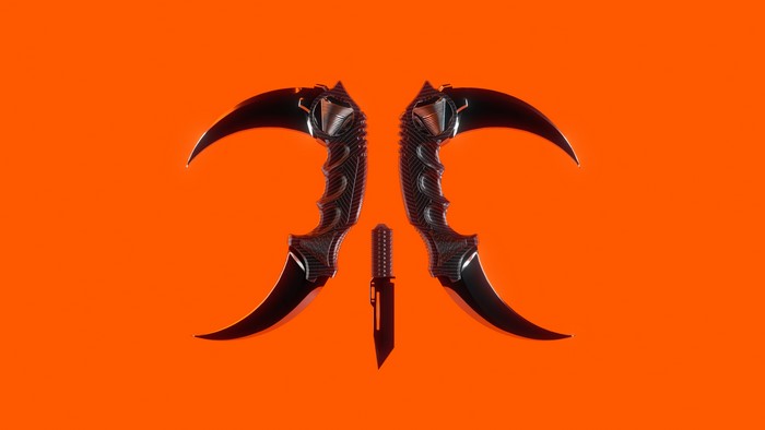 Fnatic CS:GO Karambit Knives and Knife