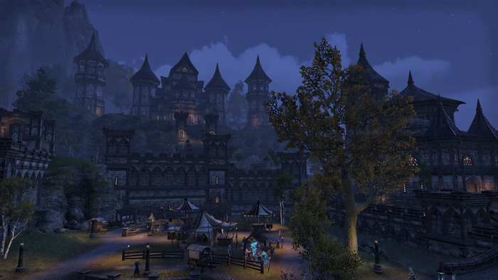 The Elder Scrolls Online castle town at night