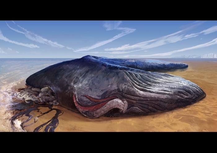 Beached whale with internal organs exposed on a sandy shore