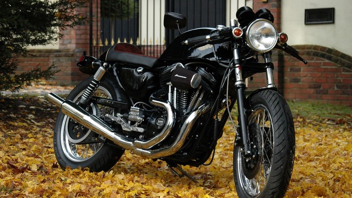 Custom Harley Davidson motorcycle in autumn leaves