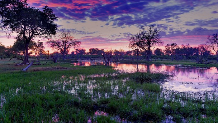 African landscape with trees and water at dawn