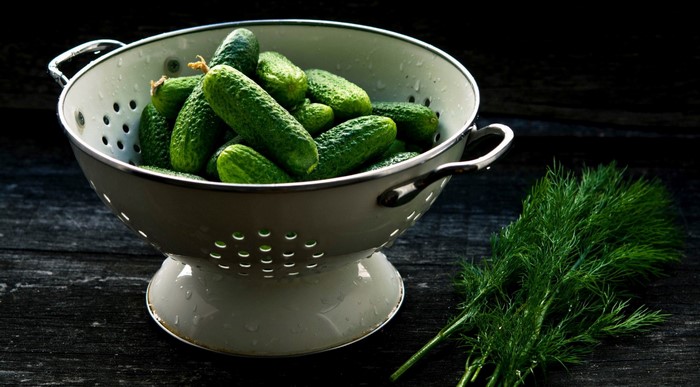 Gherkins and dill in a colander