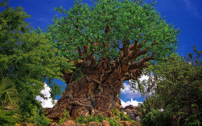 The Tree of Life at Disney's Animal Kingdom