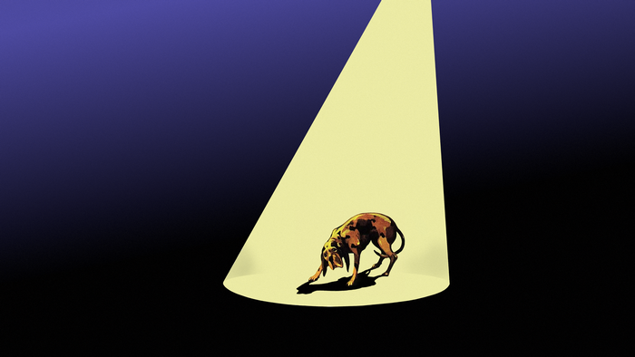 Dog in a spotlight on purple background