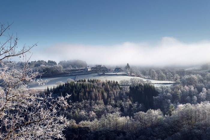 Winter landscape in France with frost and fog