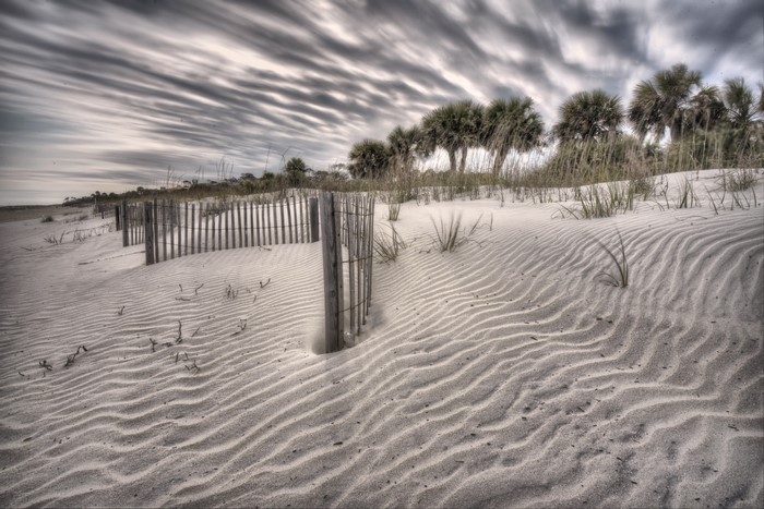 Beach with sand dunes and palm trees under cloudy sky