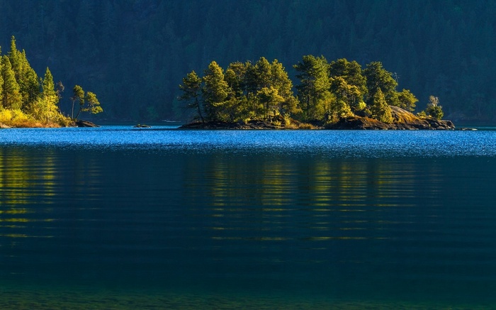 Island with trees on a lake