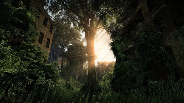 Crysis 3 screenshot with Nvidia RTX