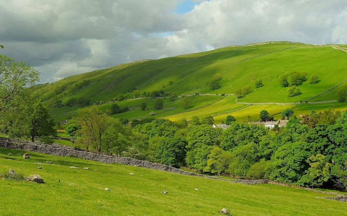 Green rolling hills with stone walls and trees
