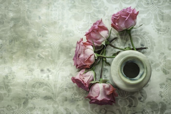 Pink roses in a small vase on a patterned surface
