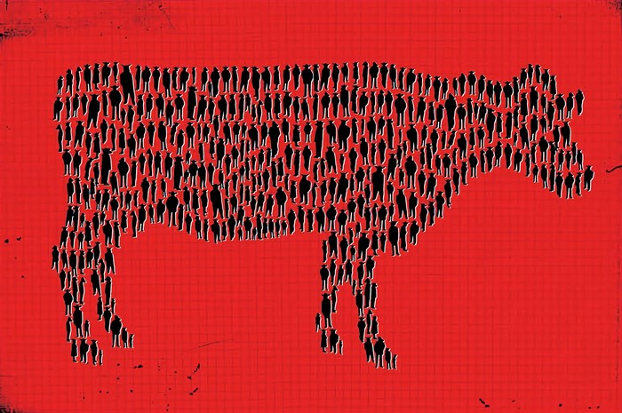 Cow made of people, red background