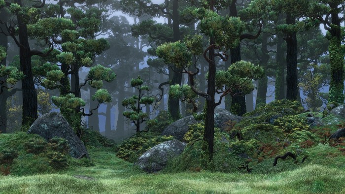 Misty forest with ancient trees and rocks