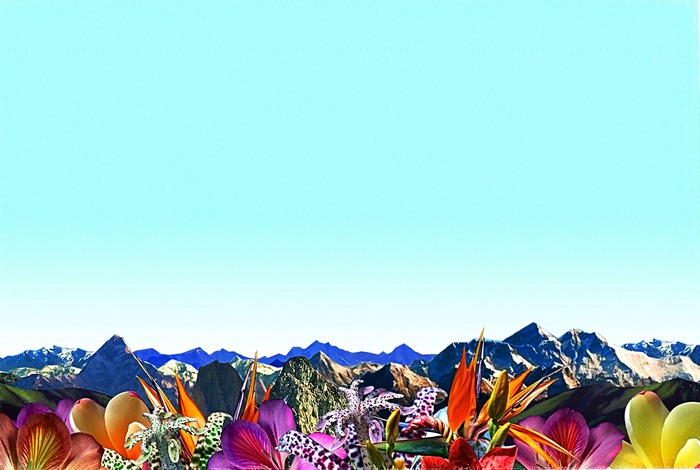 Collage artwork by Nick McFarlane