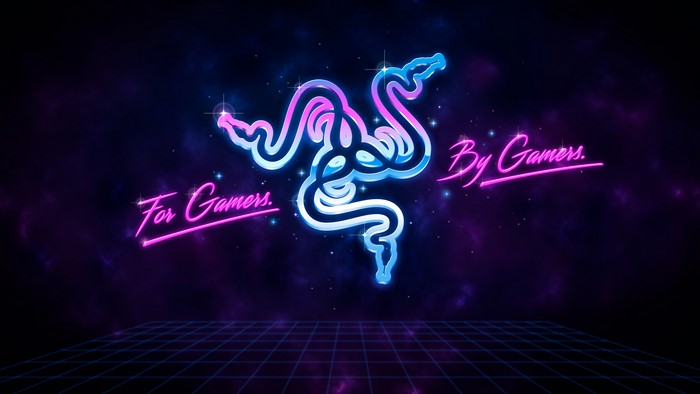 Razer logo with "For Gamers. By Gamers." text