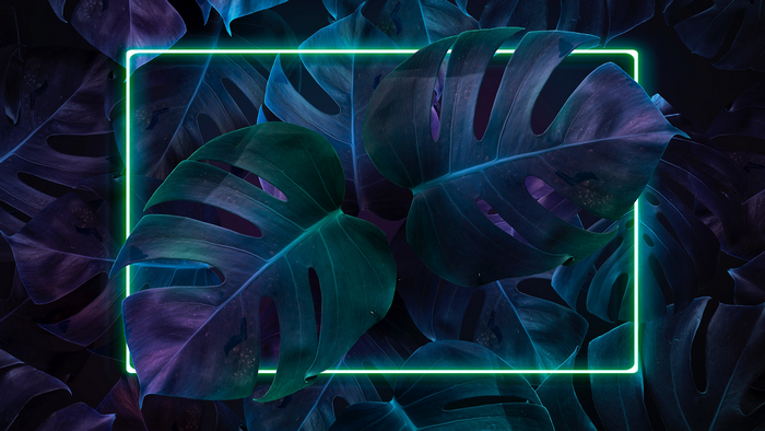 Neon frame on dark monstera leaves