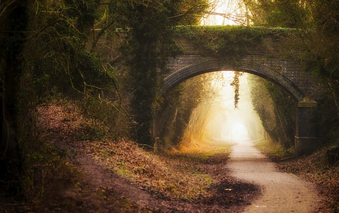 A path under a brick bridge covered in ivy