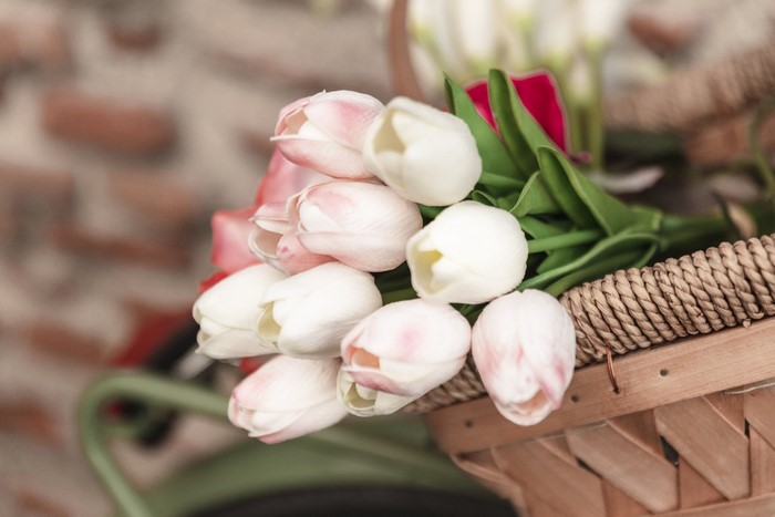 Pink and white tulips in a basket