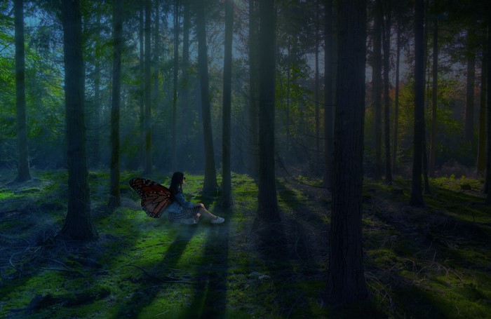 Fantasy girl with butterfly wings in a misty forest