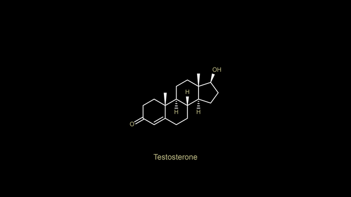 Testosterone chemical structure