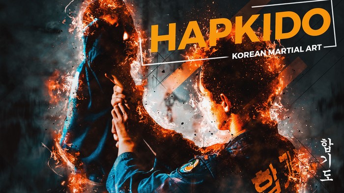 Hapkido Korean Martial Art