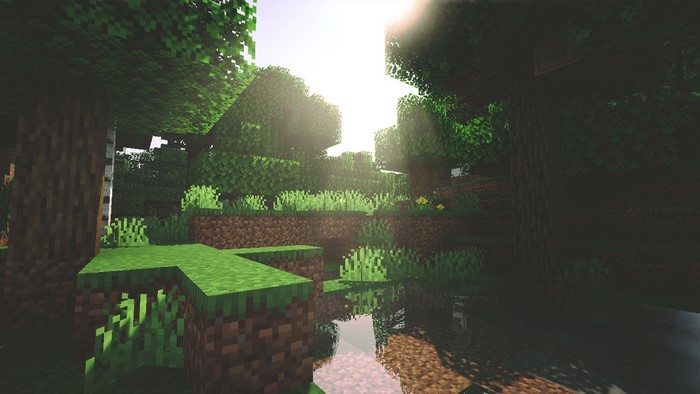 Minecraft forest with shaders and sunlight